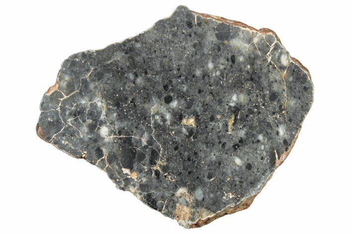 Polished Lunar Meteorite Slice ( g) - NWA #304036